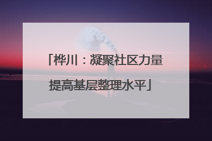 桦川：凝聚社区力量 提高基层整理水平